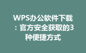 WPS办公软件下载：官方安全获取的3种便捷方式