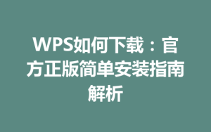 WPS如何下载:官方正版简单安装指南解析