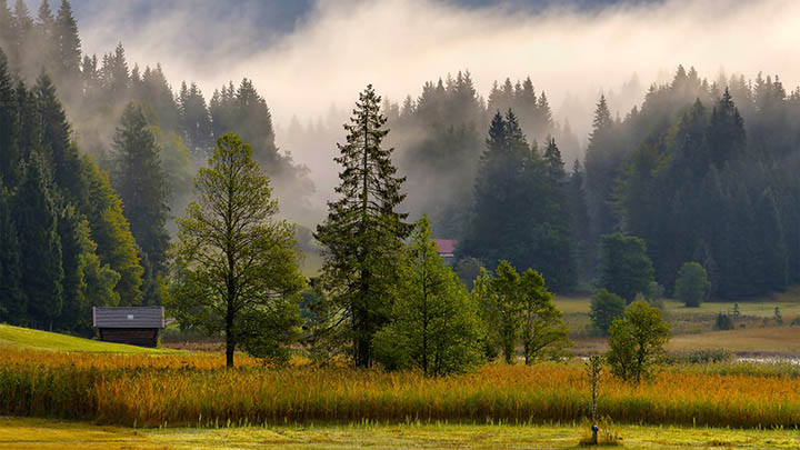WPS如何下载？官方渠道与离线包快速获取技巧 二