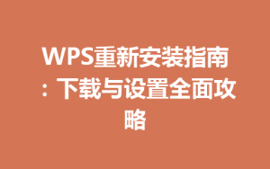 WPS重新安装指南：下载与设置全面攻略