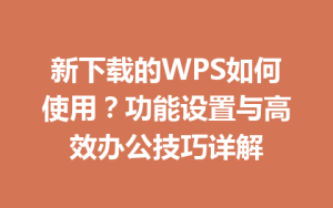 新下载的WPS如何使用？功能设置与高效办公技巧详解