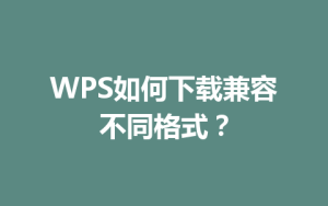 WPS如何下载兼容不同格式?