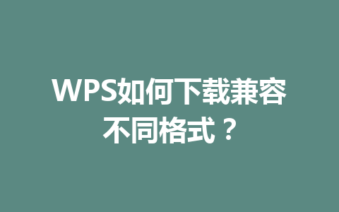 WPS如何下载兼容不同格式？ 一