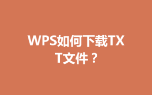WPS如何下载TXT文件?