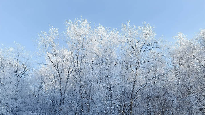 WPS如何打包下载?全方位讲解快速获取文件的正确方法 WPS如何打包下载?全方位讲解快速获取文件的正确方法 二