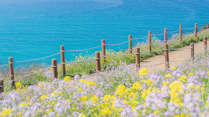 如何下载安装WPS?官方教程支持Windows/Mac全平台 如何下载安装WPS?官方教程支持Windows/Mac全平台 二