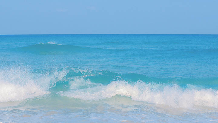 刚下载的WPS去哪了?教你快速找到安装文件! 刚下载的WPS去哪了?教你快速找到安装文件! 二