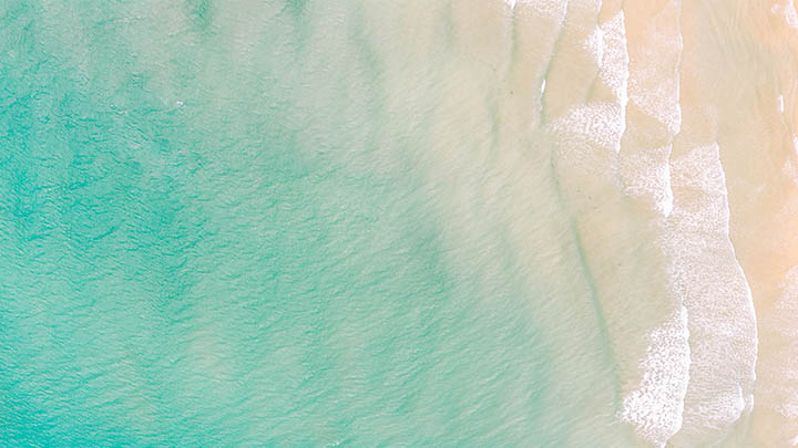 如何免费下载并高效使用WPS？ 二