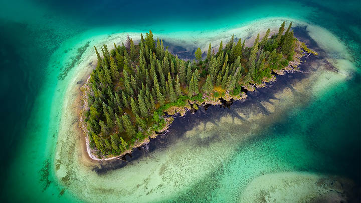 WPS里的公式怎么下载？简单几步轻松搞定！ 二