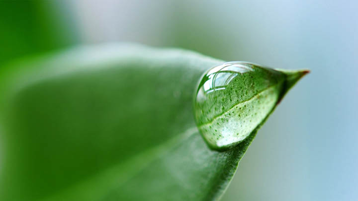 如何下载WPS个人版?官网直连+高速镜像2招搞定 如何下载WPS个人版?官网直连+高速镜像2招搞定 二