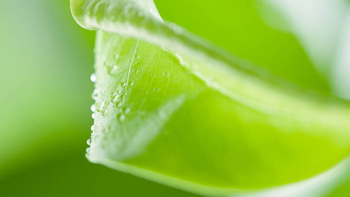 新下载的WPS如何使用？功能设置与高效办公技巧详解 二