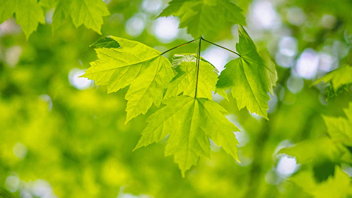 WPS安装包怎么下载？详细解决下载难题！ 二