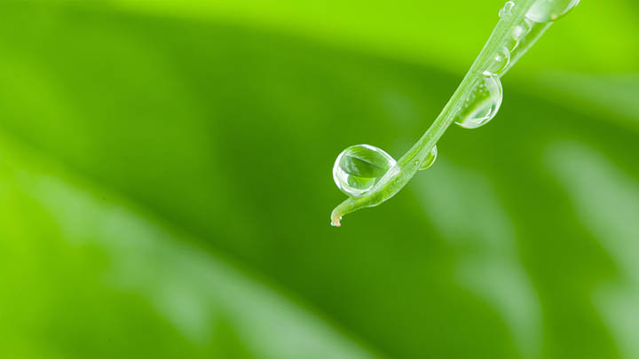 如何在电脑上快速下载WPS？ 二