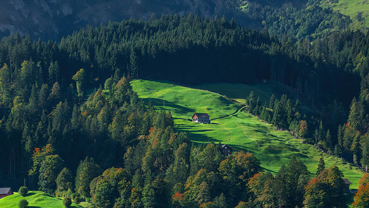 如何有效下载并彻底删除WPS Office工具？ 二