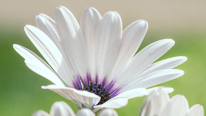 WPS热点禁用指南:如何轻松设置避免自动下载 WPS热点禁用指南:如何轻松设置避免自动下载 二