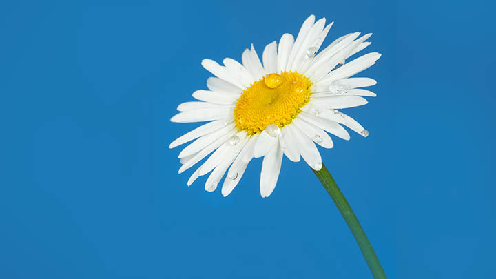 WPS如何下载兼容不同格式？ 二