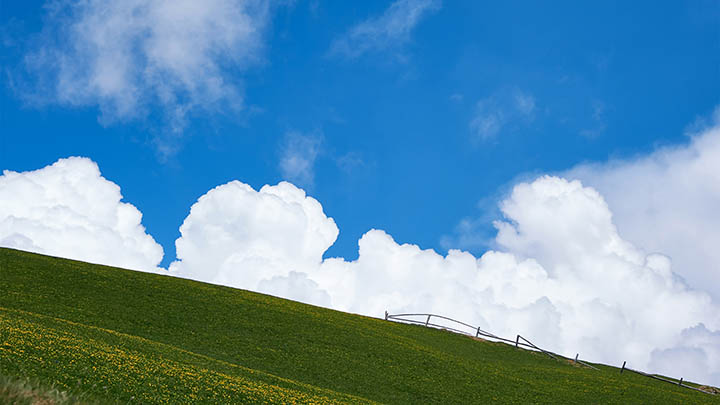 如何设置WPS禁止文件下载? 如何设置WPS禁止文件下载? 二