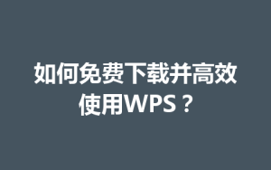 如何免费下载并高效使用WPS?
