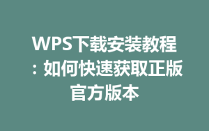 WPS下载安装教程:如何快速获取正版官方版本