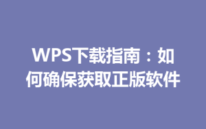 WPS下载指南：如何确保获取正版软件