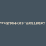 WPS如何下载中文版本？最新超全教程来了！