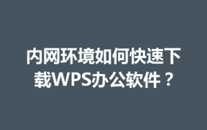 内网环境如何快速下载WPS办公软件?