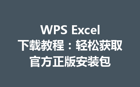 WPS Excel下载教程：轻松获取官方正版安装包
