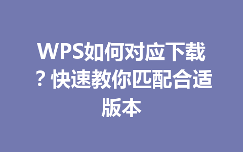 WPS如何对应下载？快速教你匹配合适版本 一