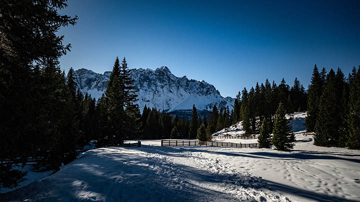 如何下载WPS内容？3分钟教你瞬间掌握技巧 二