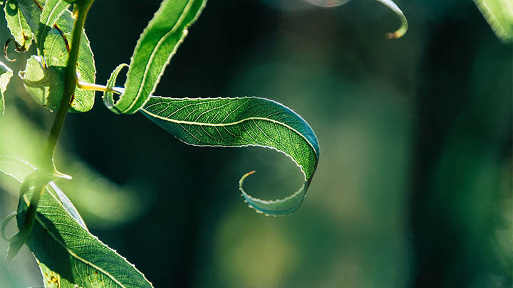 如何在WPS下载文件？官方指南揭秘2个简单操作法 二