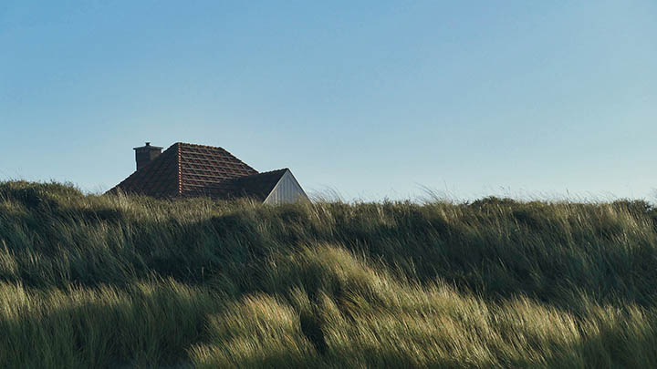 如何使用谷歌下载并安装WPS Office？ 二