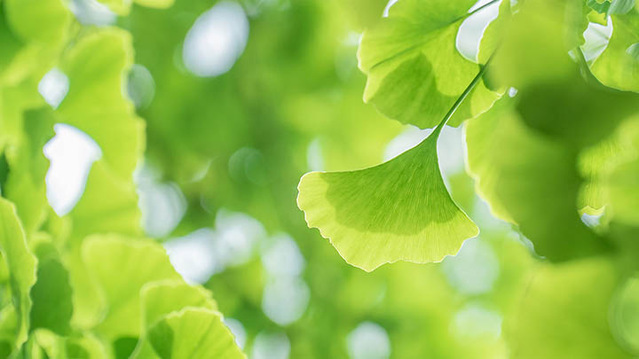 WPS如何免费保存为PDF格式？ 二