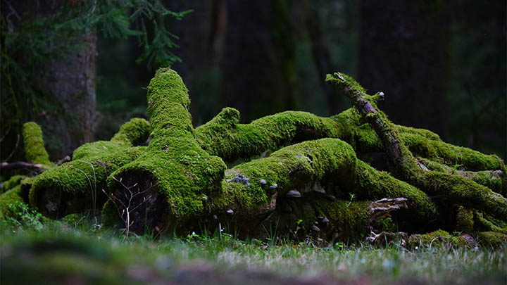 苹果WPS如何下载?官方入口与快捷安装实用指南 苹果WPS如何下载?官方入口与快捷安装实用指南 二