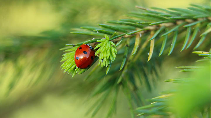 如何下载WPS以获得Word功能？ 二