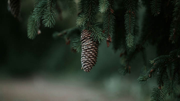 WPS附件怎么下载?详细操作步骤与常见问题解答 WPS附件怎么下载?详细操作步骤与常见问题解答 二