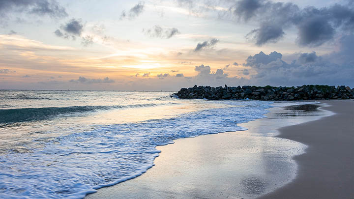 WPS如何免费下载海量素材? WPS如何免费下载海量素材? 二