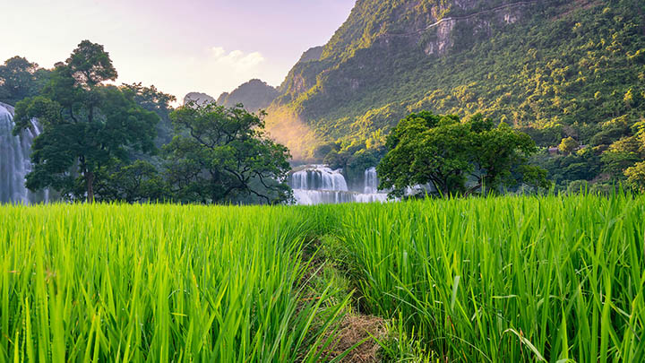 WPS离线下载教程详解:官方渠道与保存指南 WPS离线下载教程详解:官方渠道与保存指南 二