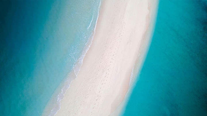 如何快速完成WPS文章下载? 如何快速完成WPS文章下载? 二