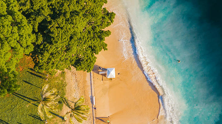 如何获得官方认证WPS软件？ 二