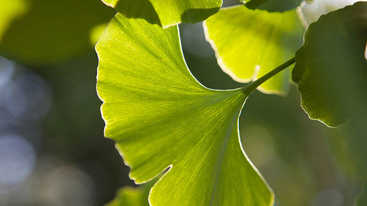 如何快速下载全套WPS工具? 如何快速下载全套WPS工具? 二