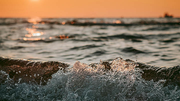 新版WPS下载教程：快速获取官方最新版本 二