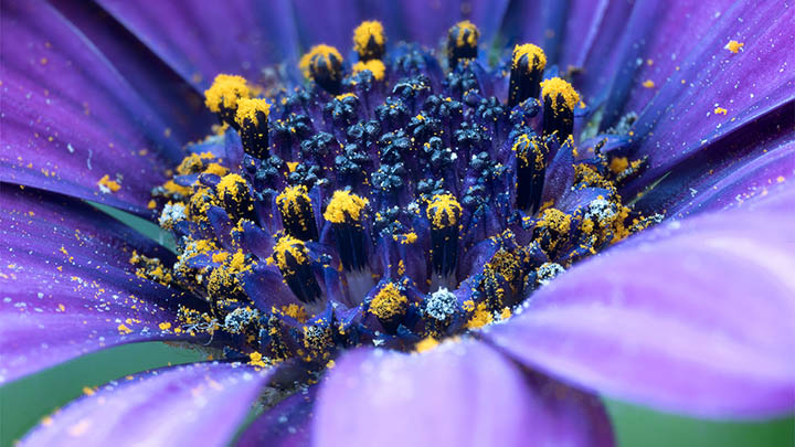 WPS下载指南:如何快速获取官网安全版本 WPS下载指南:如何快速获取官网安全版本 二