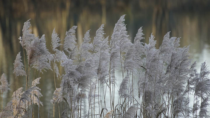 WPS软件如何下载?详细教程教你快速搞定 WPS软件如何下载?详细教程教你快速搞定 二