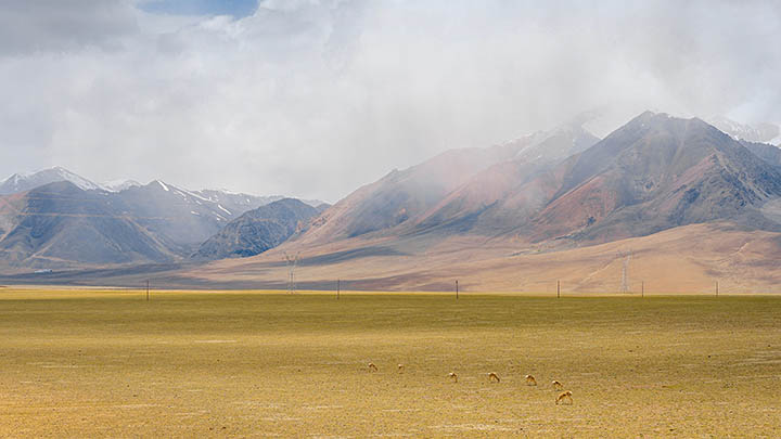 怎么下载WPS教材资源？ 二