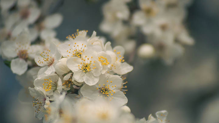 WPS操作下载详解:简单三步完成下载安装教程 WPS操作下载详解:简单三步完成下载安装教程 二