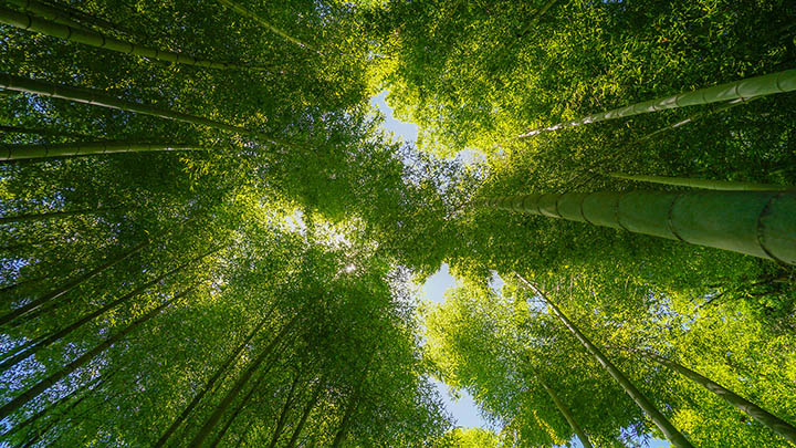 WPS文库下载方法详解：快速获取文档资源的实用技巧 二