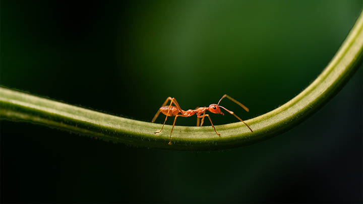 如何通过网页快速下载WPS?官方正版获取指南 如何通过网页快速下载WPS?官方正版获取指南 二